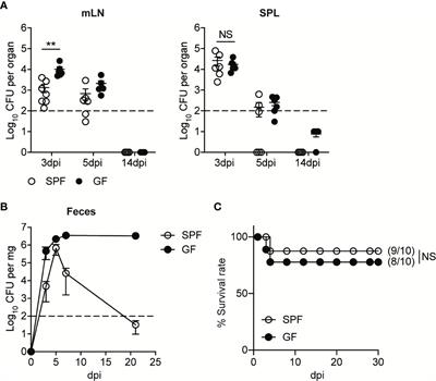 Listeria monocytogenes Establishes Commensalism in Germ-Free Mice Through the Reversible Downregulation of Virulence Gene Expression